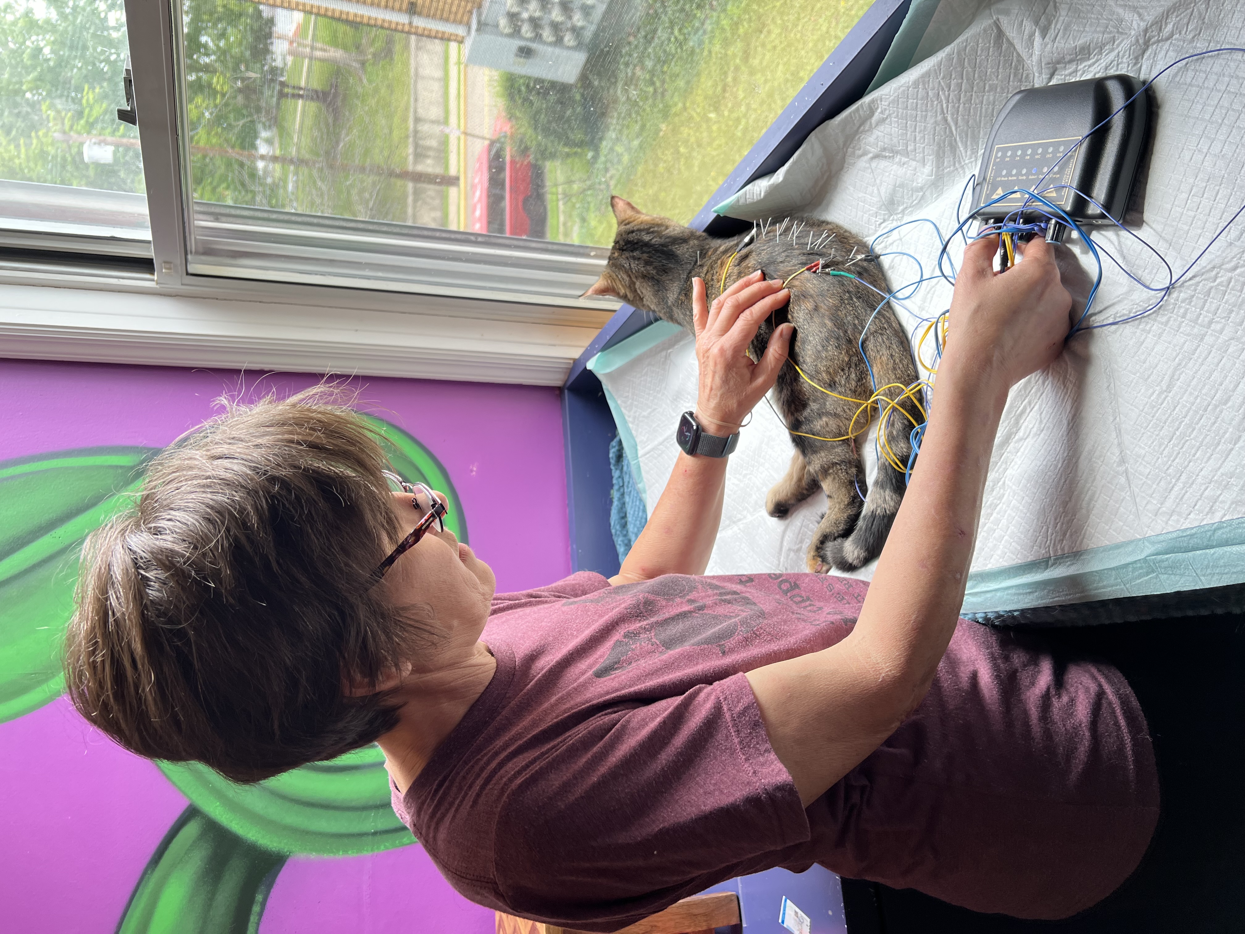 Dr. Michelle treating a patient